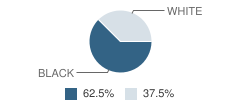 Chandler Academy Student Race Distribution