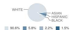 Christ the King School Student Race Distribution