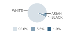 Fayette Montessori School Student Race Distribution