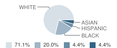 Lighthouse Christian School Student Race Distribution
