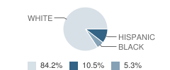 Rivercliff Lutheran School Student Race Distribution