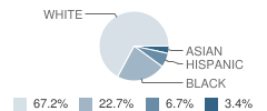 St Thomas More School Student Race Distribution