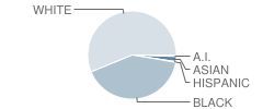 The Children's School Student Race Distribution