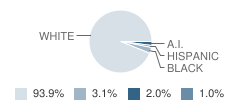 Twiggs Academy Student Race Distribution