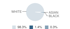 Westfield Schools, the Student Race Distribution