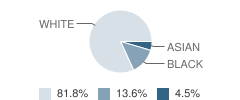 Westminster Christian School Student Race Distribution