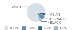 Bishop Hayes Catholic School Student Race Distribution