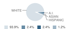 Mater Dei School Nativity Center Student Race Distribution