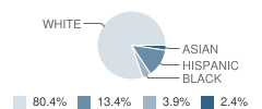 St Anthony Elementary School Student Race Distribution