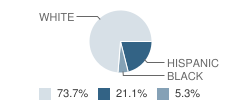 Hillside Academy Student Race Distribution