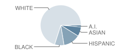 Magic Valley Christian School Student Race Distribution