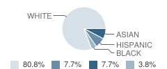 Project Patch School Student Race Distribution