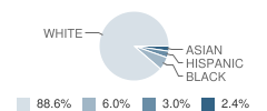 Illinois Lutheran Elementary School Student Race Distribution