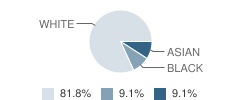 Gingercare School Student Race Distribution