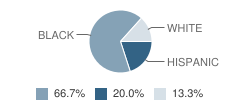 Starbrite Learning Academy Inc Student Race Distribution