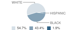 Berean Christian School Student Race Distribution