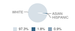 Bethel Christian Academy Student Race Distribution