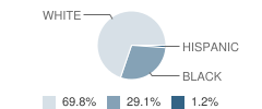 Collinsville Christian Academy Student Race Distribution