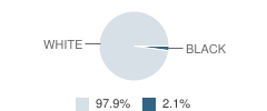 Faith Lutheran School Student Race Distribution