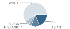 Fox Valley Montessori School Student Race Distribution