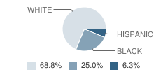 Singing Winds School Student Race Distribution