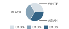 Kiddie Junction Educational Institute School Student Race Distribution