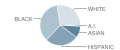 Lake County Baptist School Student Race Distribution