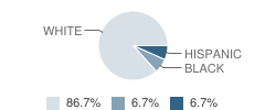 Lighted Way Association School Student Race Distribution