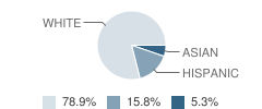 Minee Subee Grand School Student Race Distribution