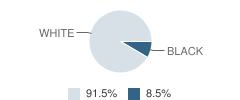 Mississippi Valley Christian School Student Race Distribution