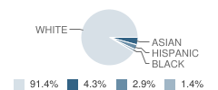 Montessori Elementary School-Southwest Cook County Student Race Distribution