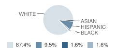 Nazareth Academy Student Race Distribution