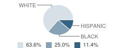 Northwest Academy Student Race Distribution