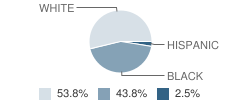 Pavilion Foundation School Student Race Distribution