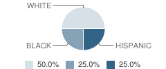 Penny Lane School Student Race Distribution