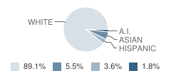 Princeton Christian Academy Student Race Distribution