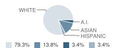 Skyline Academy Student Race Distribution