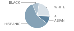 St John Vianney School Student Race Distribution