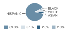 St Joseph Catholic School Student Race Distribution