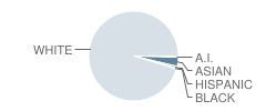 St Joseph School Student Race Distribution