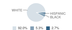 St Patrick Academy Student Race Distribution