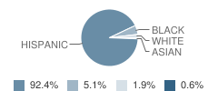 St Sylvester Elementary School Student Race Distribution