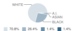 Michiana Christian School Student Race Distribution