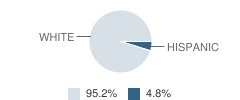 St Aloysius School Student Race Distribution