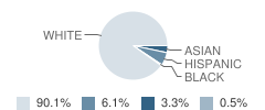 St Lawrence Elementary School Student Race Distribution