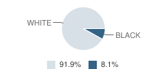 St Patrick School Student Race Distribution