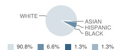 Pinnacle School Student Race Distribution