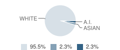 Jay Creek School Student Race Distribution