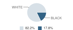 The Preparatory School Student Race Distribution