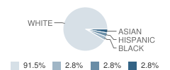 Victory Christian Academy Student Race Distribution